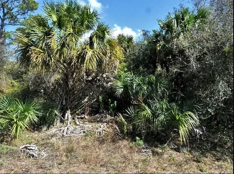 Norton Drive North Port FL 34288