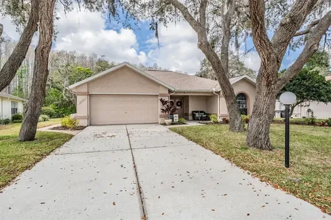10507 Quimby Drive Port Richey FL 34668