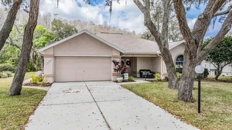 10507 Quimby Drive Port Richey FL 34668