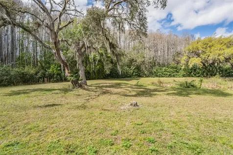10507 Quimby Drive Port Richey FL 34668