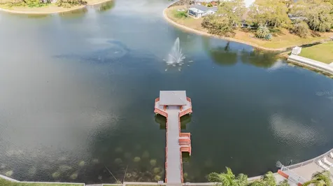 10507 Quimby Drive Port Richey FL 34668