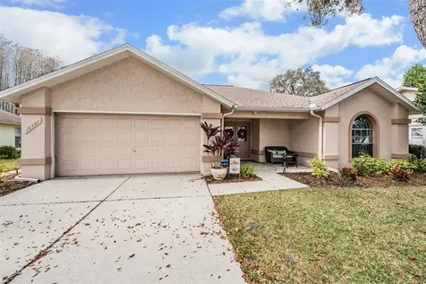 10507 Quimby Drive Port Richey FL 34668