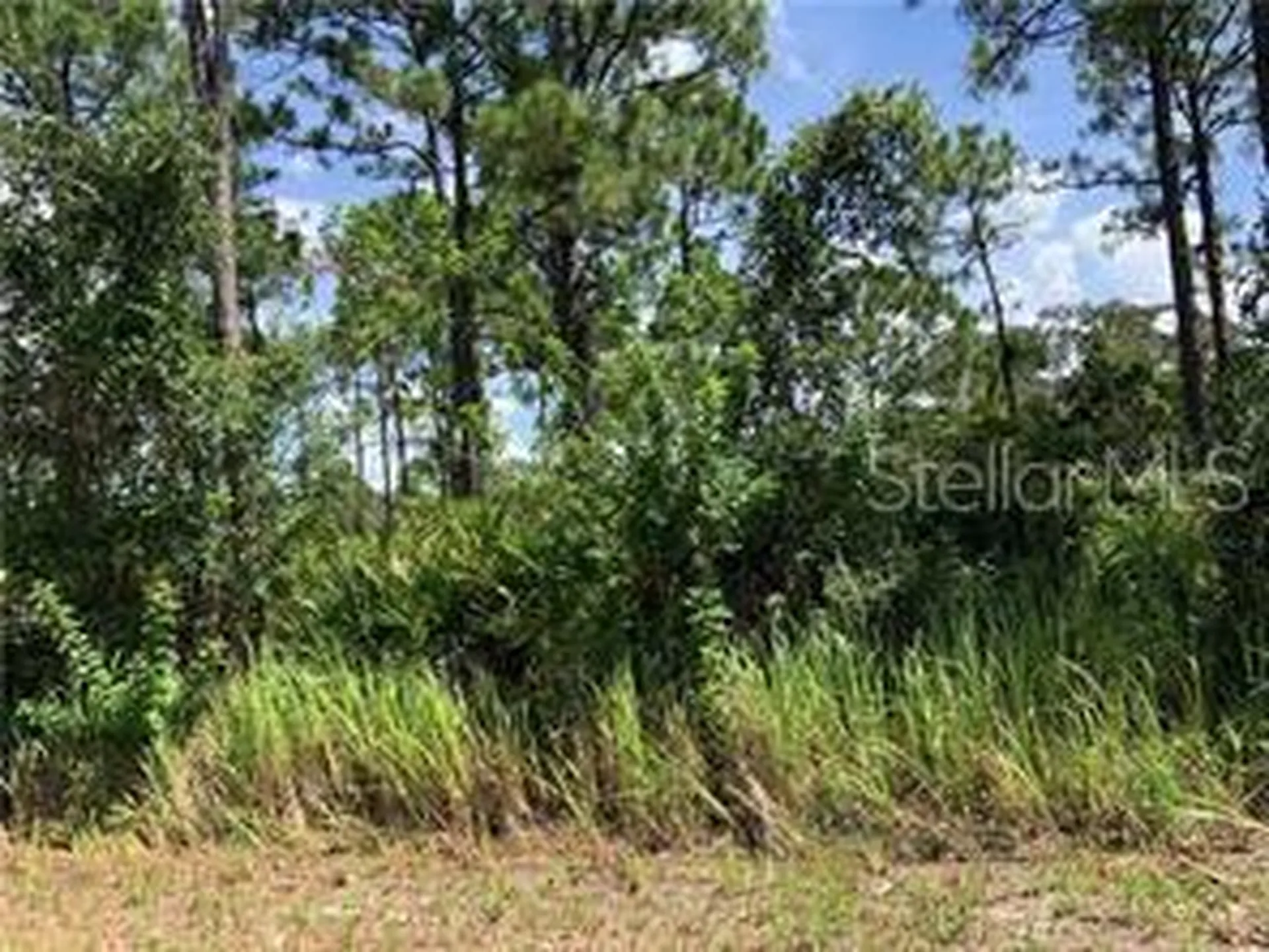 1127 Lake Groves Road NW Lake Placid FL 33852