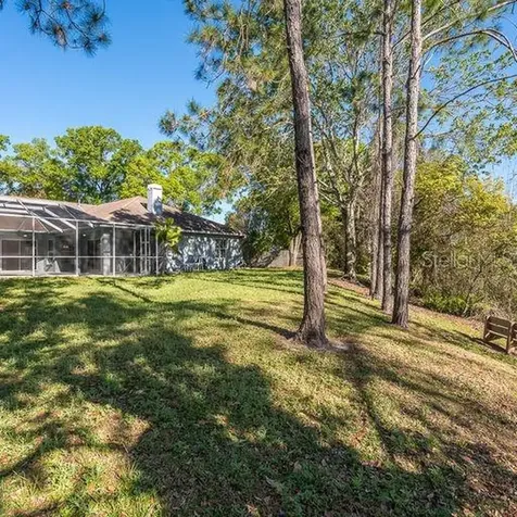 17227 Tiffany Shore Drive Lutz FL 33549