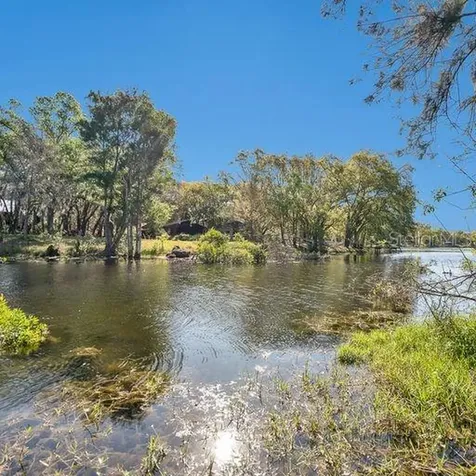 17227 Tiffany Shore Drive Lutz FL 33549