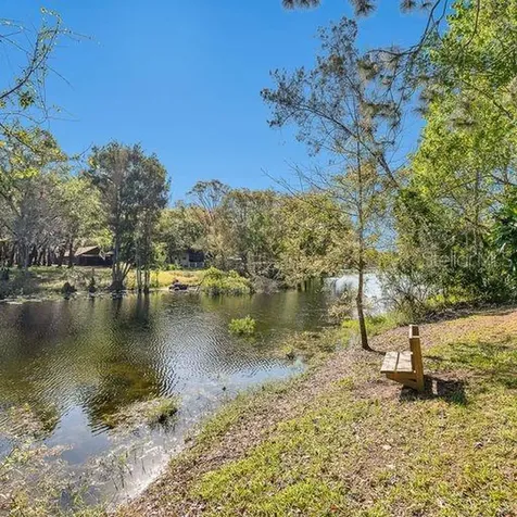 17227 Tiffany Shore Drive Lutz FL 33549