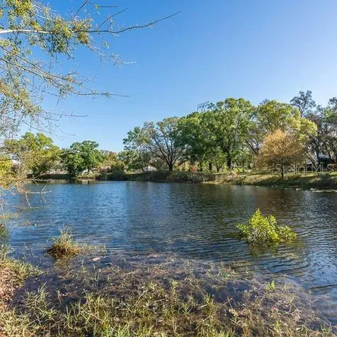 17227 Tiffany Shore Drive Lutz FL 33549