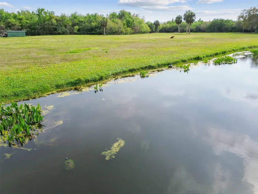 Kibler Lane Holiday FL 34691