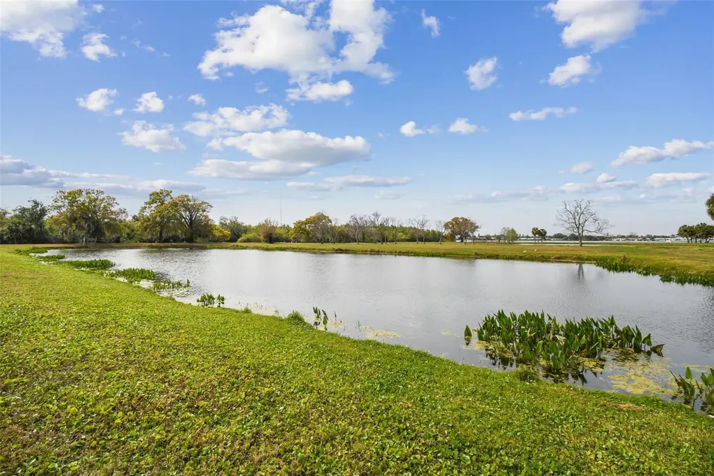 Kibler Lane Holiday FL 34691