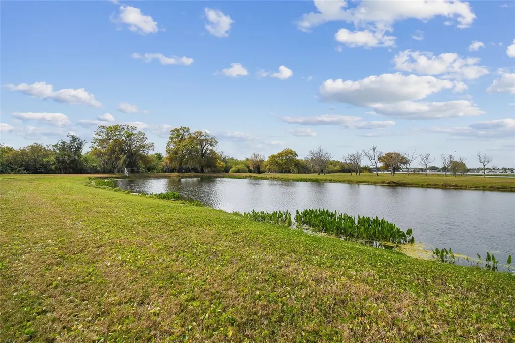 Kibler Lane Holiday FL 34691