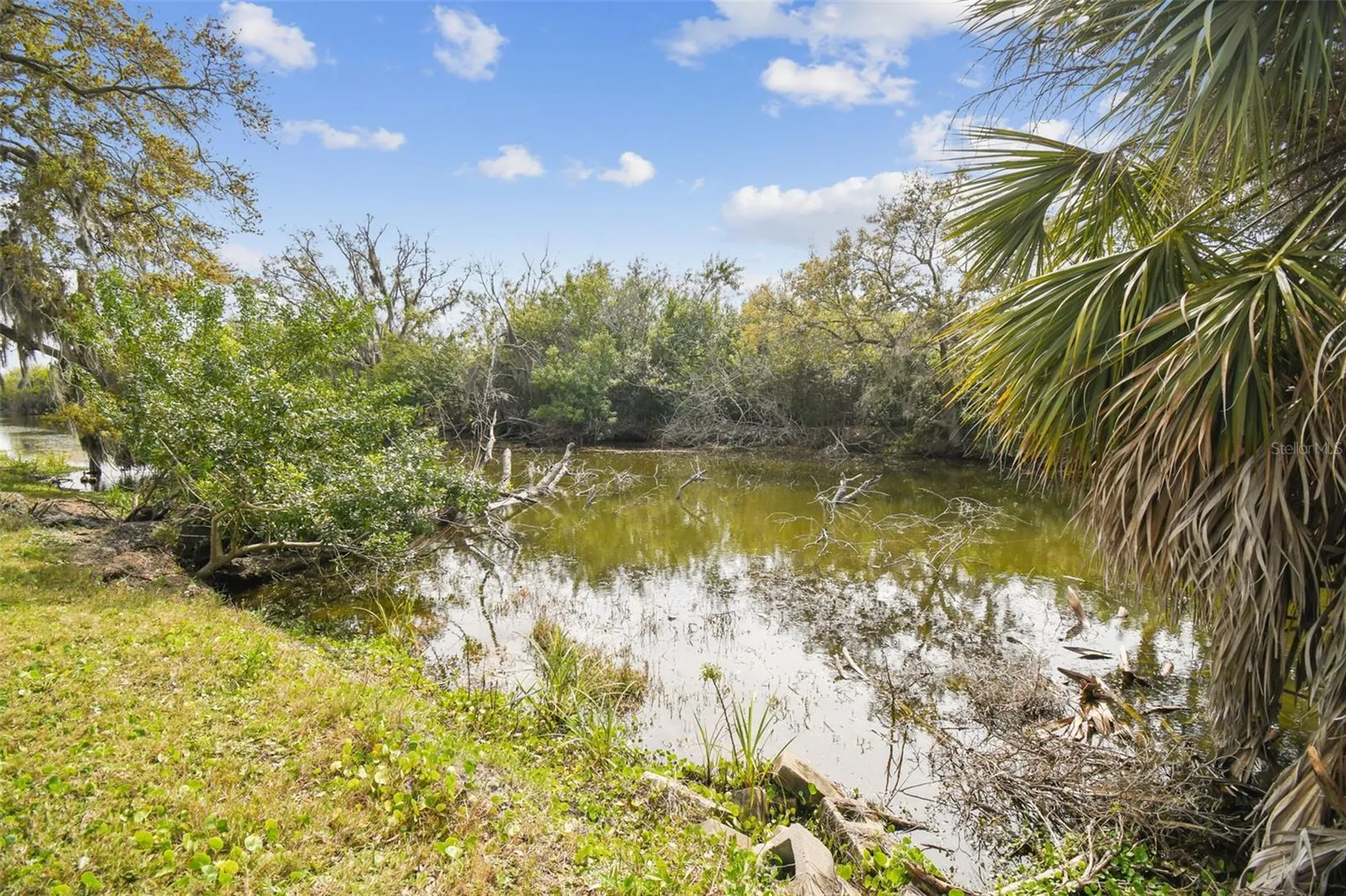 Kibler Lane Holiday FL 34691