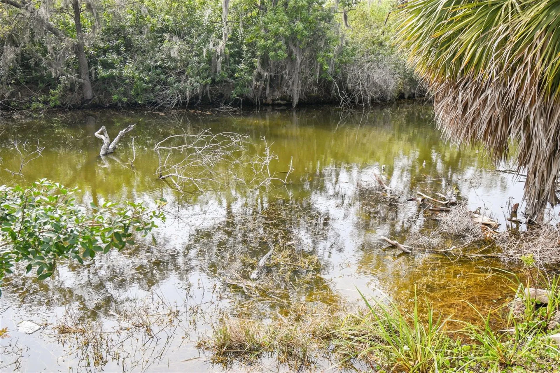 Kibler Lane Holiday FL 34691