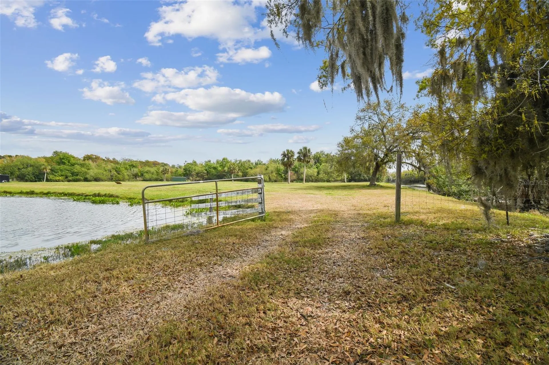 Kibler Lane Holiday FL 34691