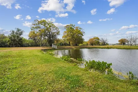 Kibler Lane Holiday FL 34691