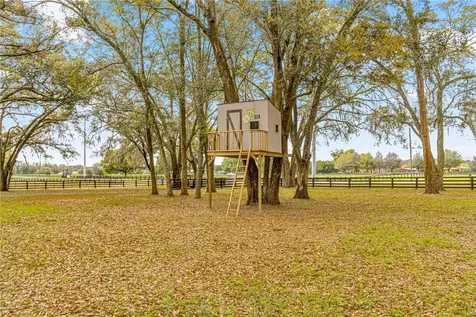 15675 SE 36th Avenue Summerfield FL 34491