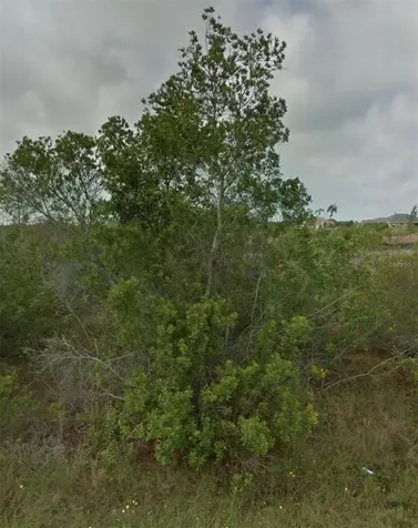 15842 Viscount Circle Port Charlotte FL 33981