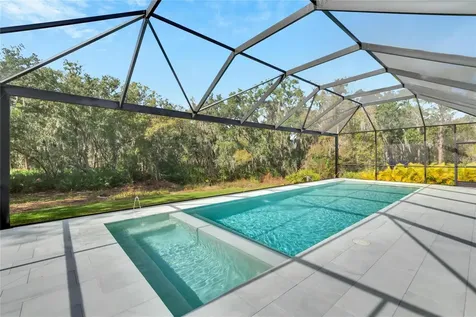 13241 Wildflower Meadow Drive Riverview FL 33579