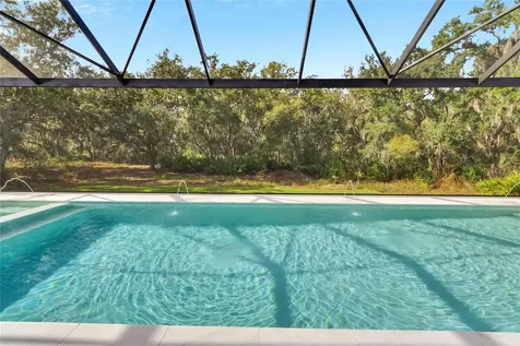 13241 Wildflower Meadow Drive Riverview FL 33579