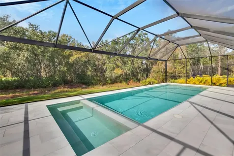 13241 Wildflower Meadow Drive Riverview FL 33579
