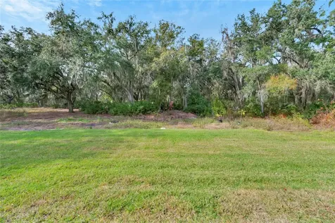 13241 Wildflower Meadow Drive Riverview FL 33579