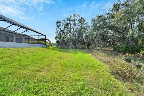 13241 Wildflower Meadow Drive Riverview FL 33579
