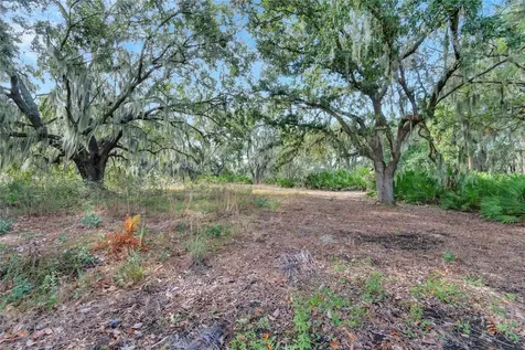 13241 Wildflower Meadow Drive Riverview FL 33579