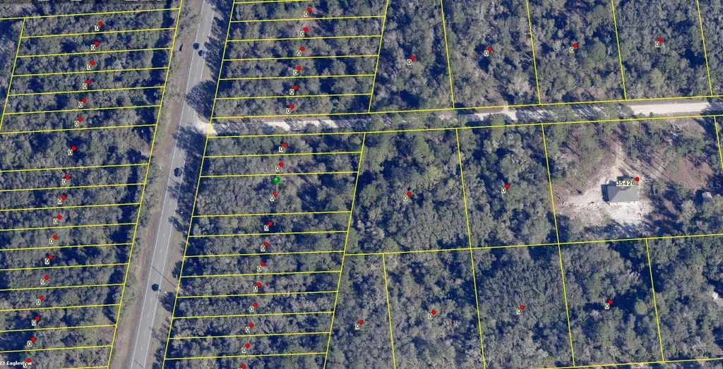 8146 Treiman Boulevard Webster FL 33597