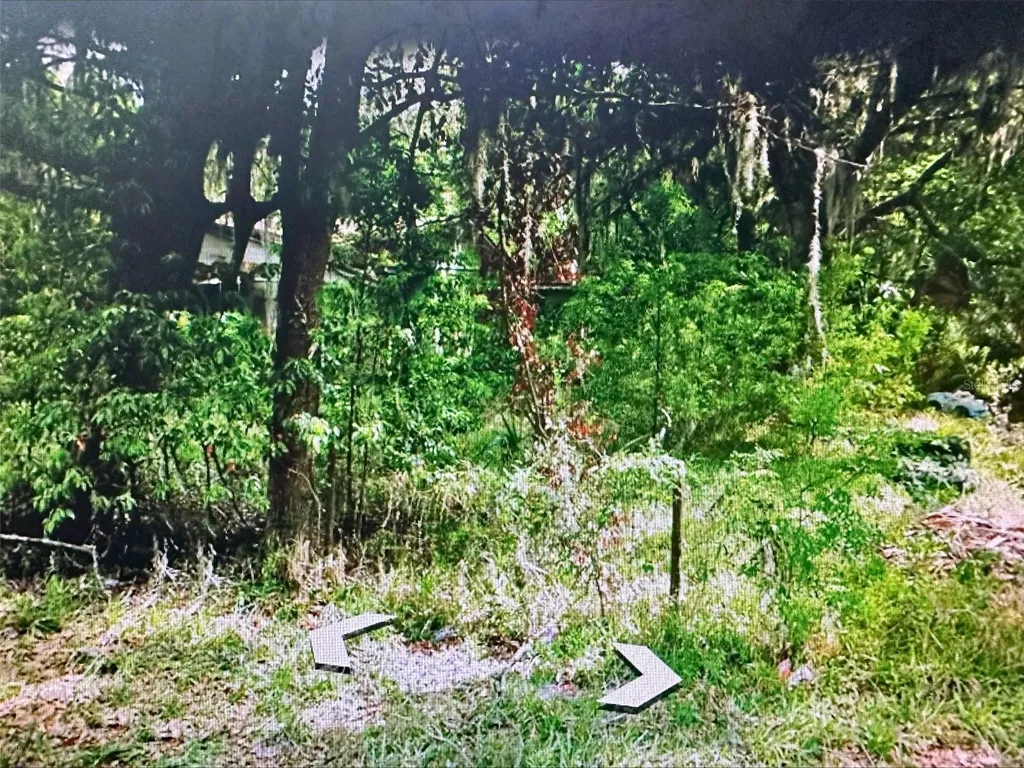 409 W Towles Avenue Palatka FL 32177