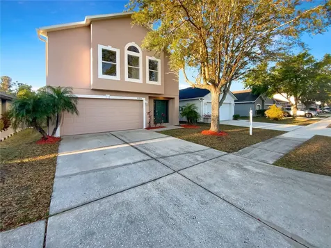 30208 Rattana Court Wesley Chapel FL 33545