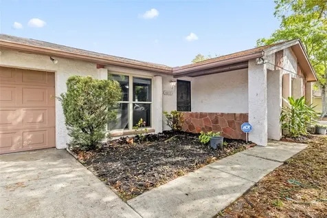 10111 Timber Oaks Court Tampa FL 33615