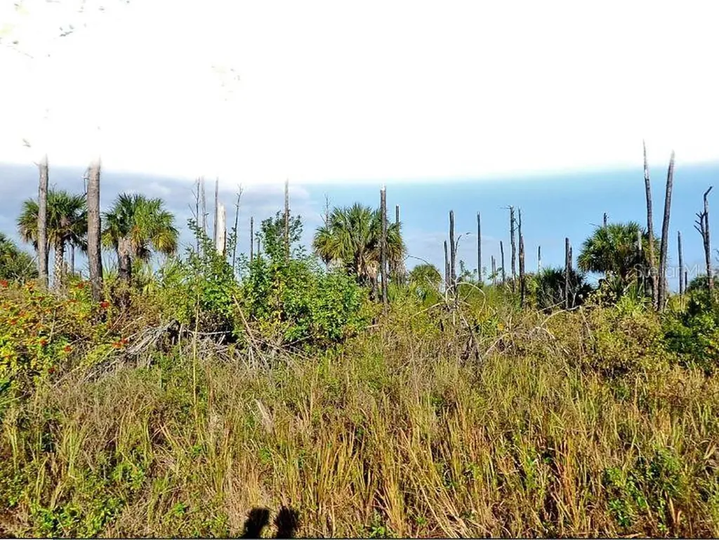 Devonia Circle North Port FL 34288