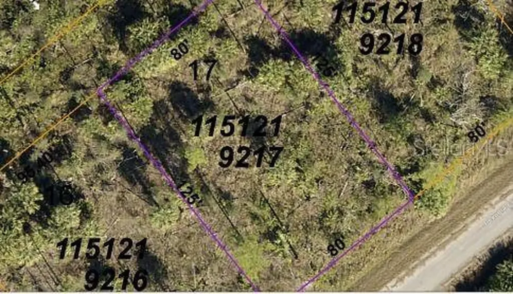 Devonia Circle North Port FL 34288
