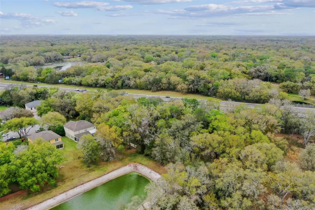 Mccrea Drive Lutz FL 33549