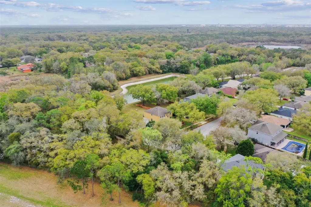 Mccrea Drive Lutz FL 33549
