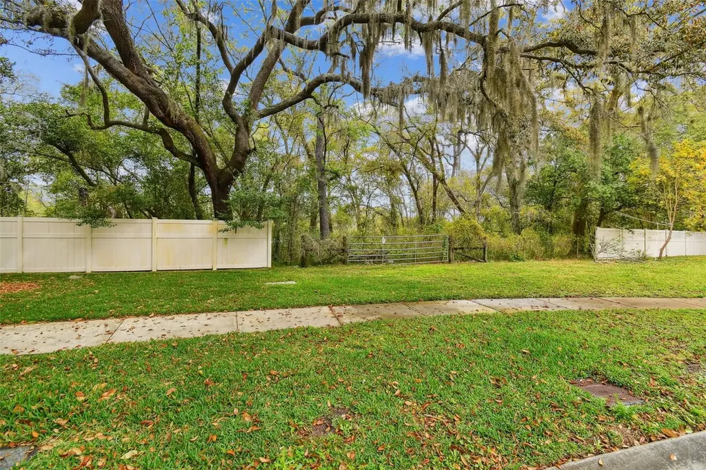 Mccrea Drive Lutz FL 33549