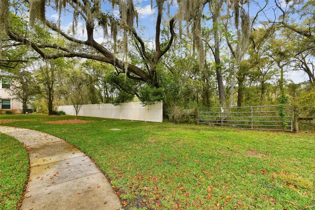 Mccrea Drive Lutz FL 33549