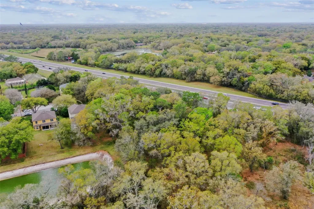 Mccrea Drive Lutz FL 33549
