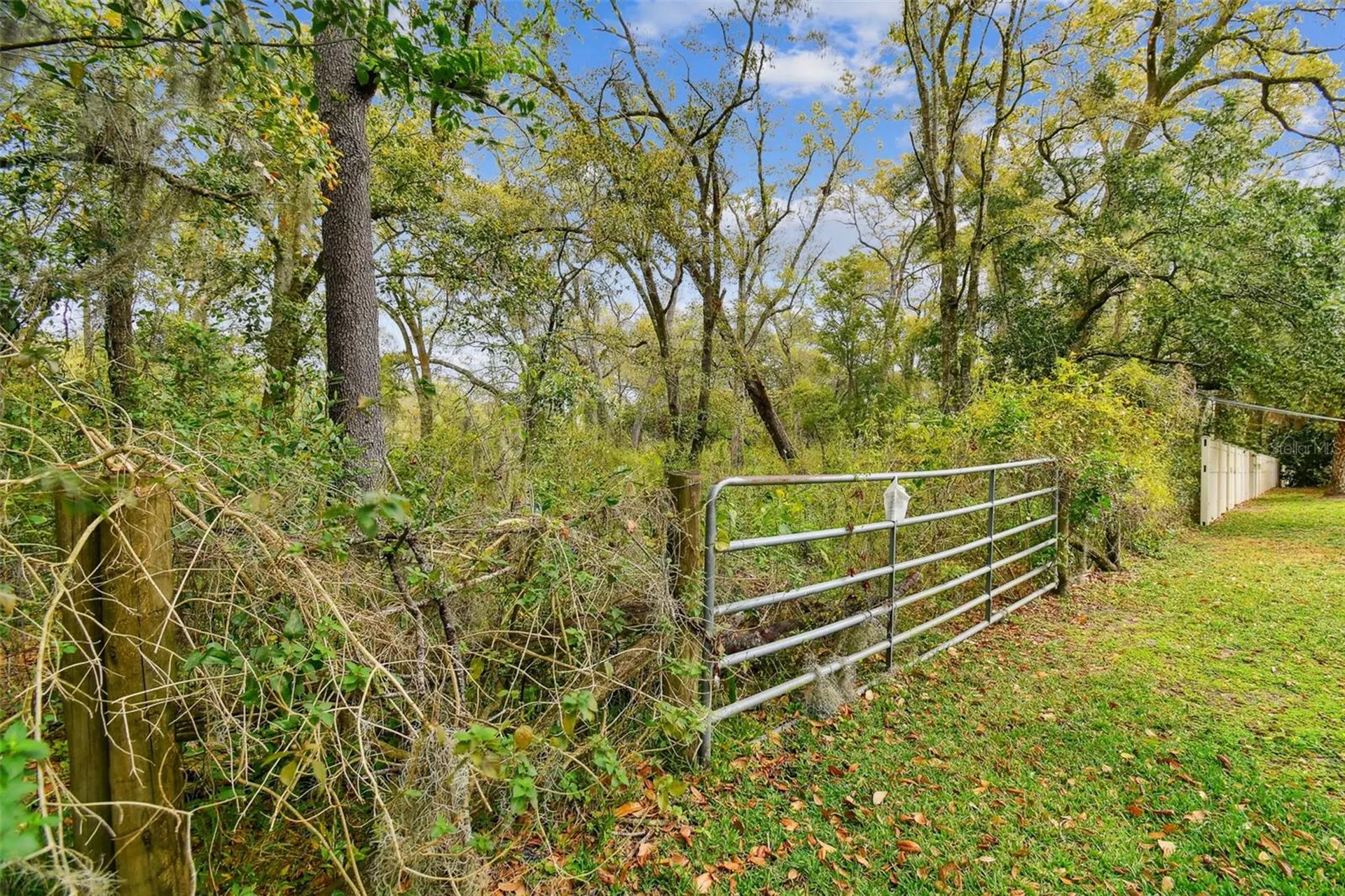 Mccrea Drive Lutz FL 33549