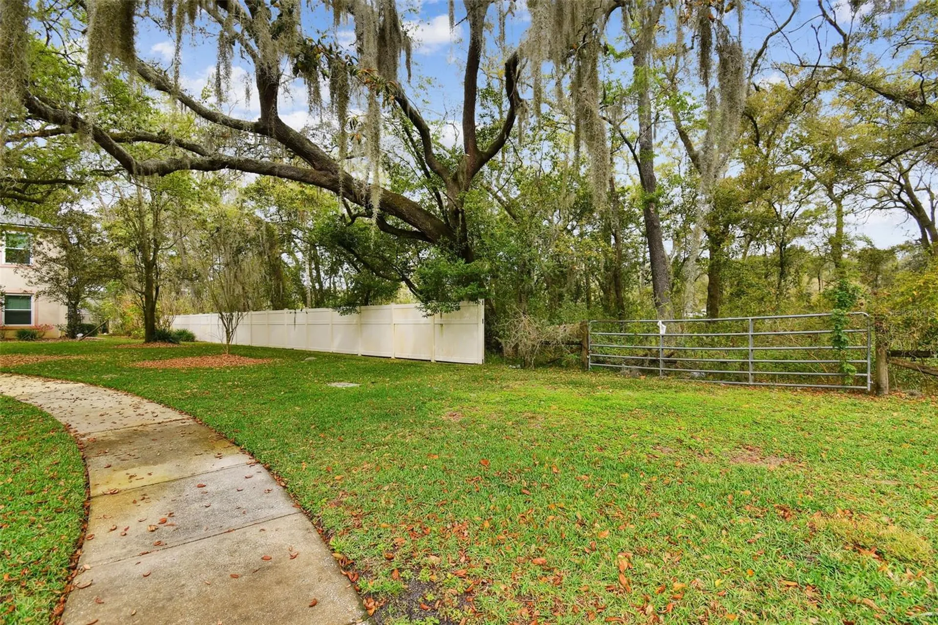 Mccrea Drive Lutz FL 33549