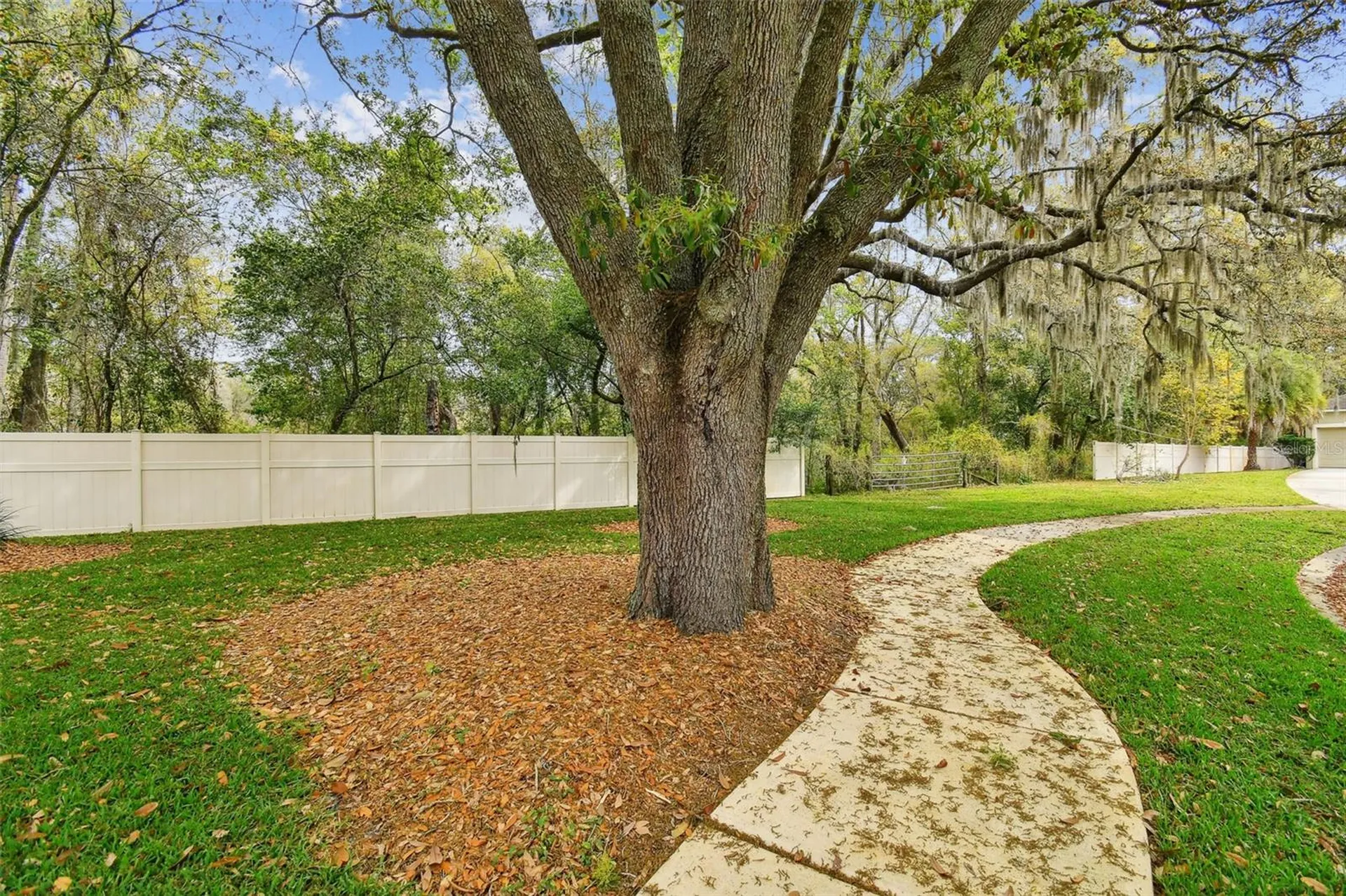 Mccrea Drive Lutz FL 33549