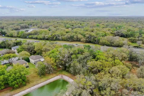 Mccrea Drive Lutz FL 33549