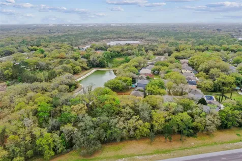 Mccrea Drive Lutz FL 33549