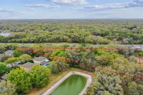 Mccrea Drive Lutz FL 33549