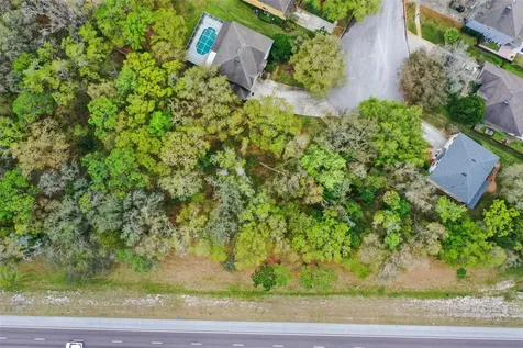 Mccrea Drive Lutz FL 33549