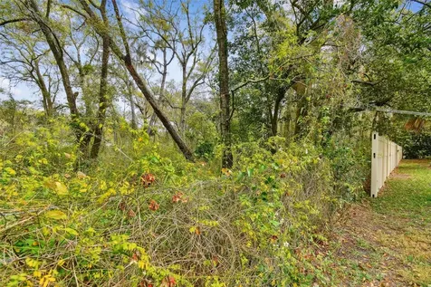 Mccrea Drive Lutz FL 33549