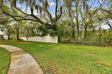 Mccrea Drive Lutz FL 33549