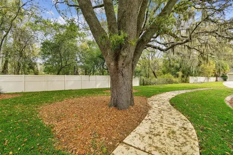 Mccrea Drive Lutz FL 33549