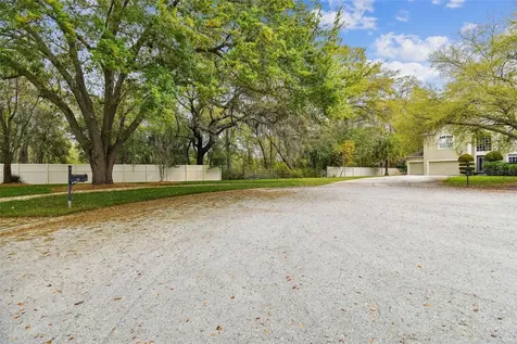 Mccrea Drive Lutz FL 33549