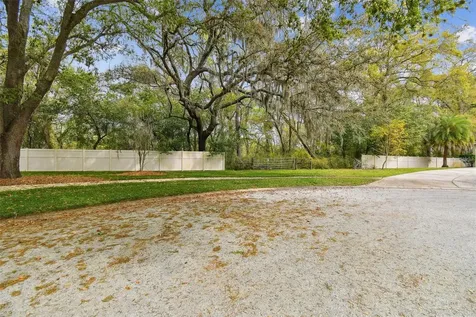 Mccrea Drive Lutz FL 33549