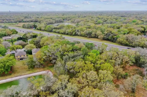 Mccrea Drive Lutz FL 33549